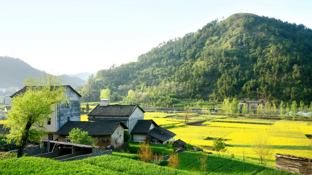 cf0a89cb5acb329a2e84f9da819771b