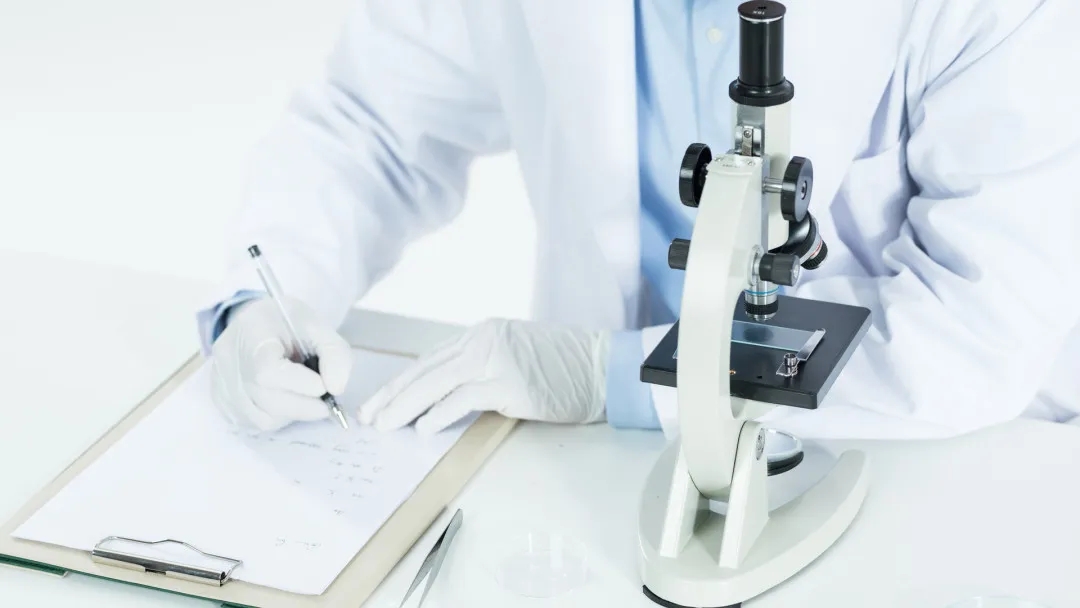 135d43f3742b795645696f9e226c27a0_640_wx_fmt=jpeg&from=appmsg&tp=webp&wxfrom=5&wx_lazy=1#imgIndex=9