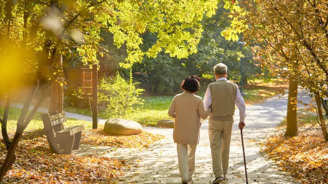 3497cce790bbd3bd20b3077ce7c0bc65_640_wx_fmt=jpeg&from=appmsg&tp=webp&wxfrom=5&wx_lazy=1#imgIndex=2