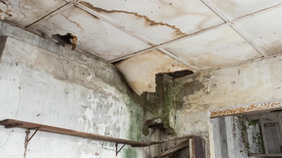 e3246be62ec2302d969bb3c3f25b12e1_640_wx_fmt=jpeg&from=appmsg&tp=webp&wxfrom=5&wx_lazy=1#imgIndex=2