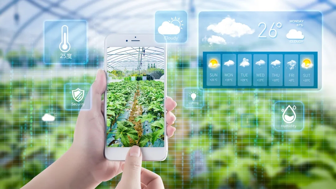 dfaadcb47e40690eb5551822c75ad2f7_640_wx_fmt=jpeg&from=appmsg&tp=webp&wxfrom=5&wx_lazy=1#imgIndex=2