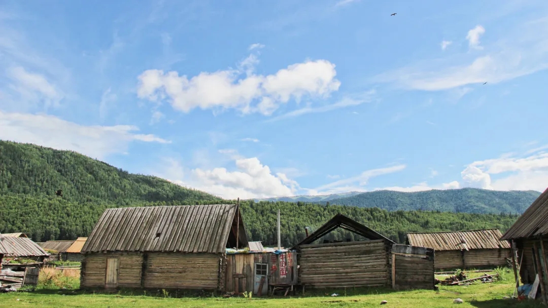 4fe1d44bcdf6f31e01ec1256c3560a0f_640_wx_fmt=jpeg&from=appmsg&tp=webp&wxfrom=5&wx_lazy=1#imgIndex=2